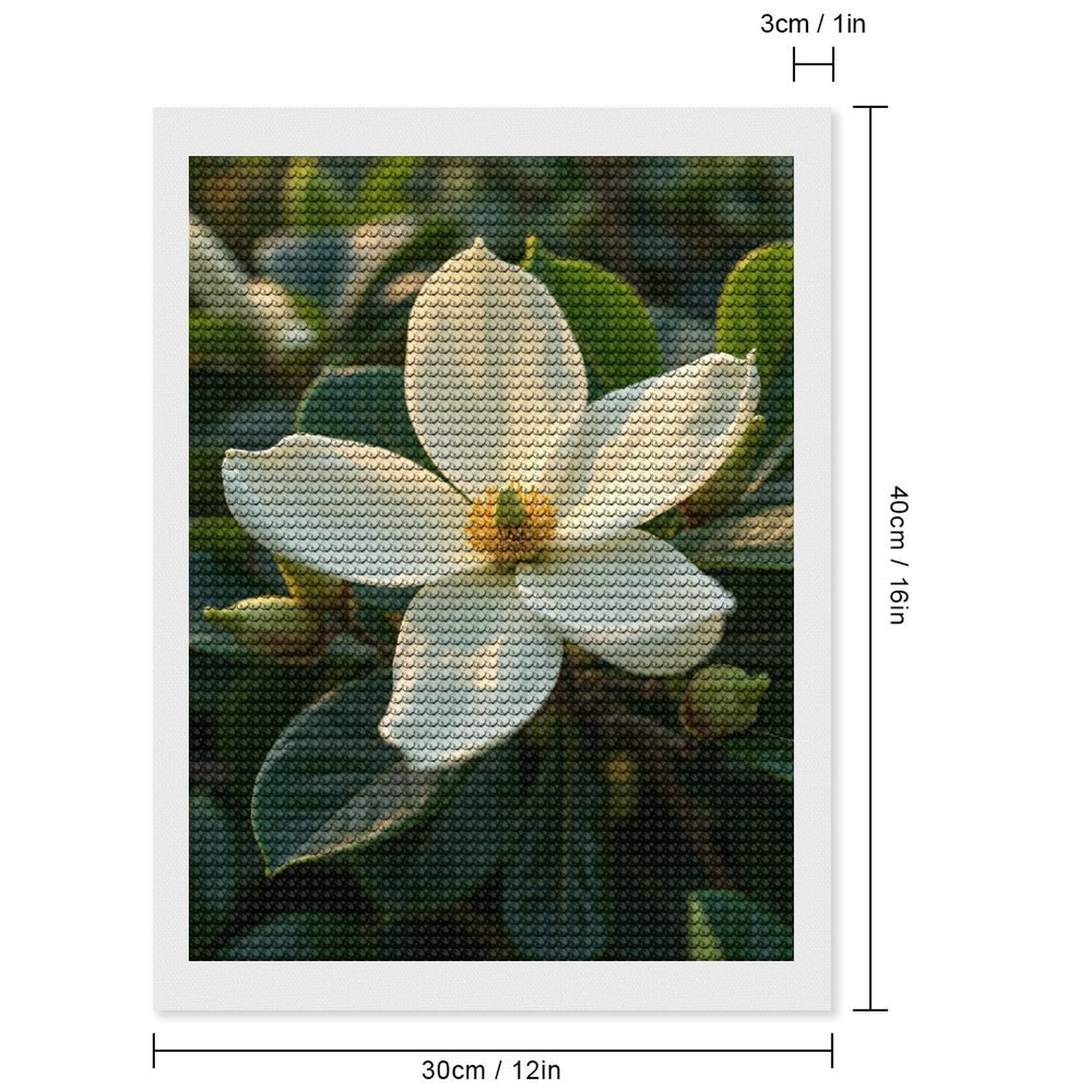 Diamond Art Kits for Adults - Southern Magnolia Blossom Sunlit 5d Diamond Painting for Adults, Diamond Art for Adults Beginners, Frameless Diamond Painting Kits for Adults for Home Wall Decor