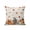 Beige, variant on Abstract Geometric Outdoor Throw Pillow with Insert, 16"x16" Olive Green Terracotta Bottle Silhouettes Art Waterproof Decorative Square Patio Pillows for Outside Furniture, Sofa, Porch, Garden