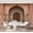 Color 4, variant on Wall Mural Peel and Stick sonoran desert america landscape pictures royalty free photos Self-Adhesive Wallpaper Removable Wall Decal Wall Sticker Home Decor for Living Room Bedroom 69"x96"