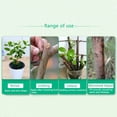 thumbnail image 4 of Plant Healing Sealant, Various Application Tree Pruning Paste Reduce Scarring  for Farm, 4 of 8