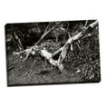 thumbnail image 2 of Gango Home Decor Fallen Cypress I by Alan Hausenflock (Ready to Hang); One 36x24in Hand-Stretched Canvas, 2 of 4