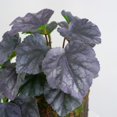 thumbnail image 4 of Plantas Verdes Artificiales Planta artificial morada de 23 hojas con hojas de alumbre con textura adhesiva para decoración de interiores y accesorios de pared (1 pieza) Rkxzt, 4 of 8
