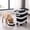 Black, variant on Foldable Rice Storage Container with Wheels, Airtight Grain Bin for Flour and Pet Food, Space-Saving Pantry Organizer