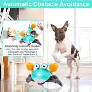 Crawling Crab Baby Toy,Interactive Electronic Pet,1 Count
