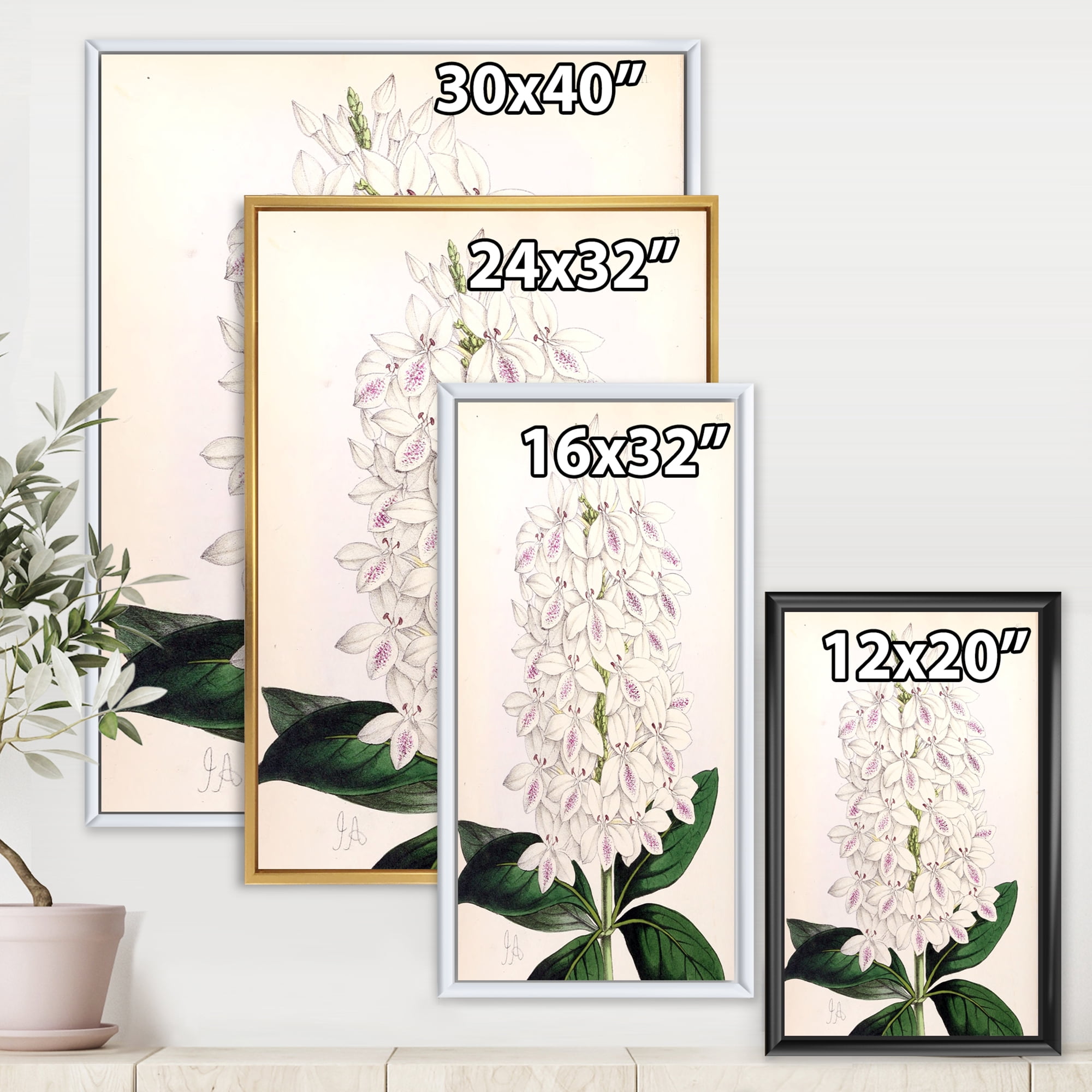 Designart 'Ancient White Orchid III' Traditional Framed Canvas Wall Art Print