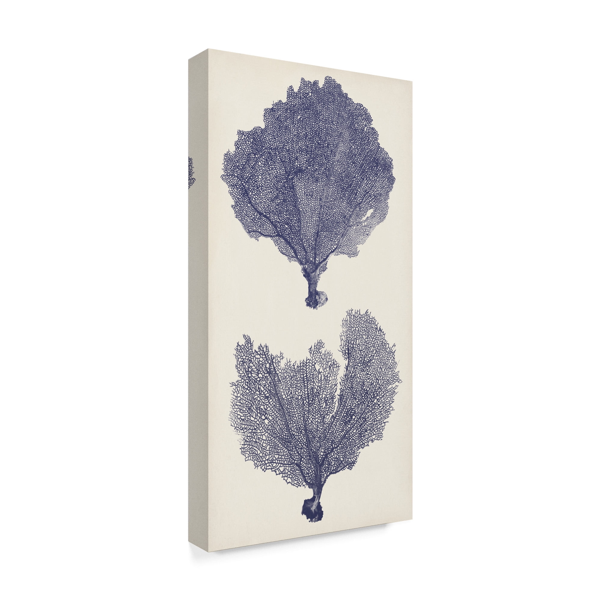 Trademark Fine Art 'Indigo Seafans II' Canvas Art by Vision Studio