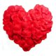 thumbnail image 1 of 500pcs Lifelike Artificial Silk Red Rose Petals Decorations for Wedding Party, 1 of 3