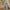 Gray, variant on Summer Jumpsuits for Women Casual Fashion Plus Size Button Long Sleeved Color Wide-leg Jumpsuits Lady Jumpsuit Gift for Women Up to 65% off!