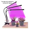 thumbnail image 5 of ER Planta Flor Suculenta Crecer Luz LED USB Clip Sincronización de velocidad completa oso de fresa Electrónica, 5 of 5