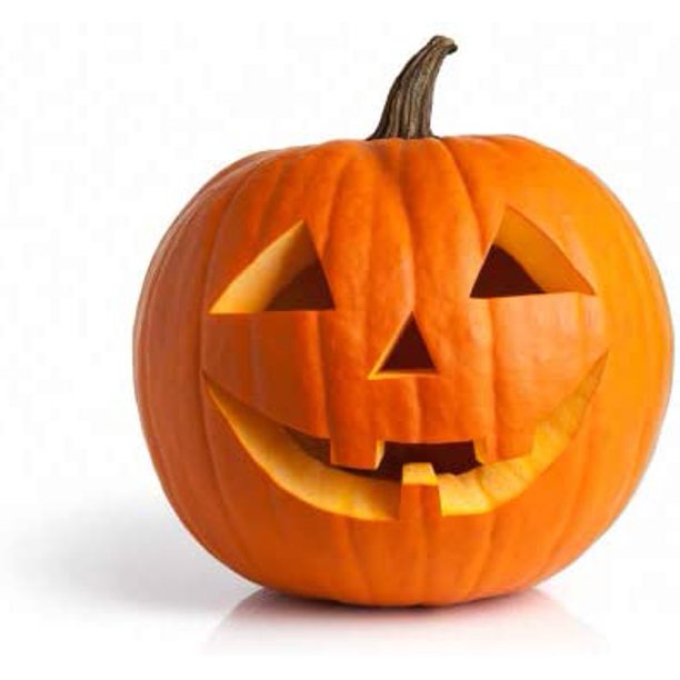 Jack O' Lantern Pumpkin Seeds for Planting 20+ Seeds Grow Pumpkins