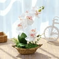 thumbnail image 2 of Spring Flowers Artificial for Decoration Elegant Faux Orchid Plant in Pot for Home Decor Table Centerpieces, Artificial Flower Arrangements with Ceramic Vase for Wedding & Diy Decor Harlik, 2 of 5