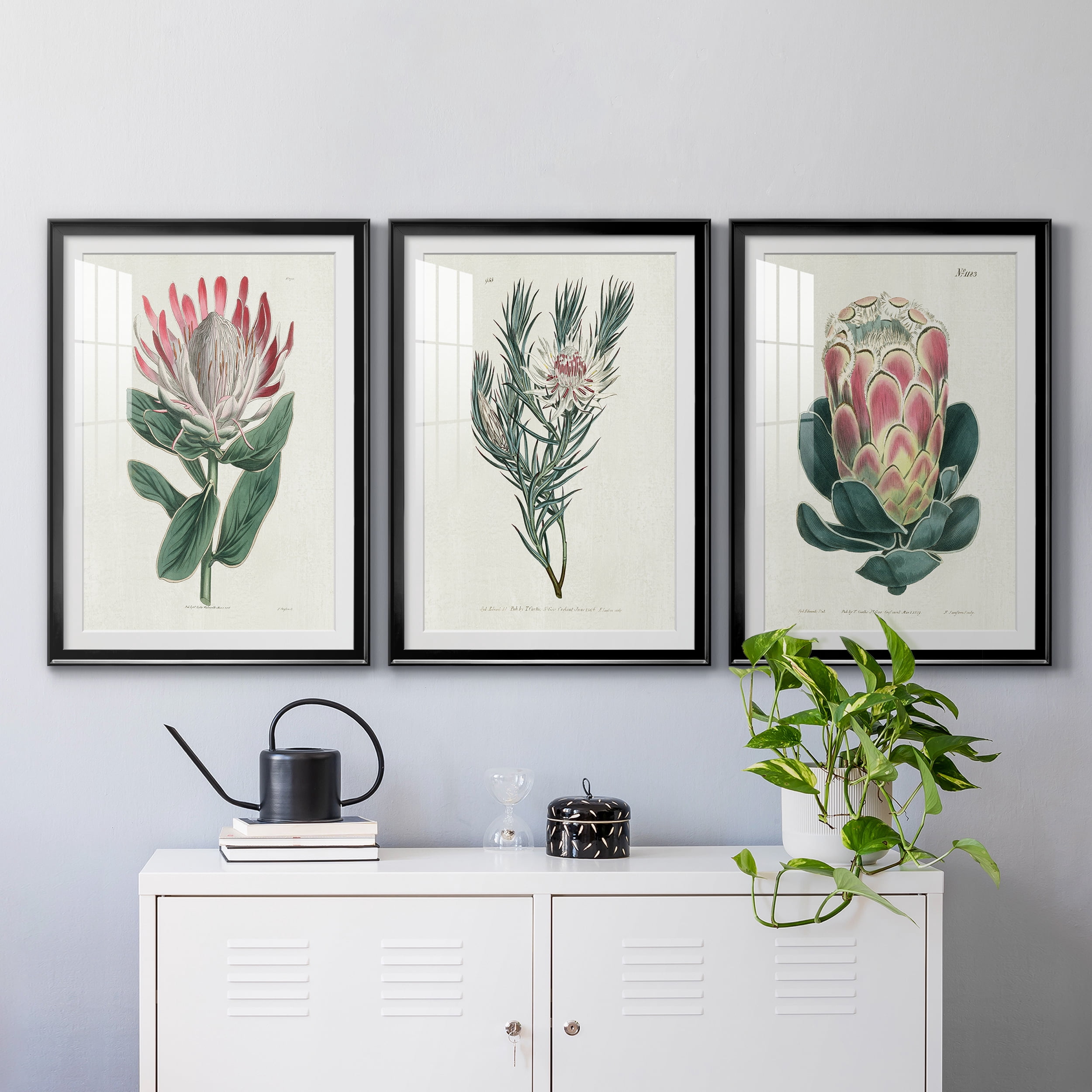 Protea N13 Premium Framed Prints Set of 3 - Ready to Hang - 26.5 x 36.5 Each - Black Frame