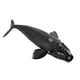 thumbnail image 2 of Colección de Figuras de Acción de Ballenas, Acuario Y Vida Marina para Niños Pequeños., 2 of 9