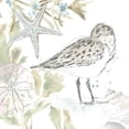 thumbnail image 2 of Vess, June Erica 12x12 White Modern Wood Framed Museum Art Print Titled - Seaside Sandpipers I, 2 of 4