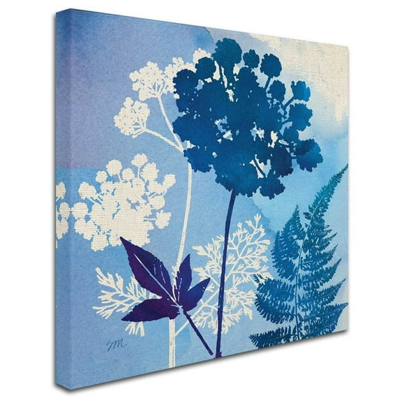 Trademark Fine Art 'Under the Sea I' Canvas Art by Studio Mousseau