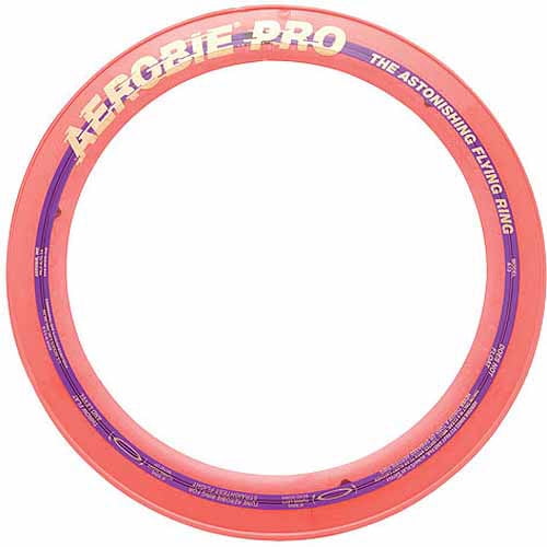 aerobie frisbee target