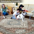 thumbnail image 5 of Assaile 6 x 9 Feet Area Rug Stain Resistant Lightweight Washable Rug Anti Skid Rugs for Living Room Boho Persian Area Rug, Brown, 5 of 5