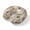 khaki, variant on Neck Pillow, Coffee Memory Foam U-Shaped Travel Pillow for Airplane Car Train Office Nap, Portable Soft Head Neck Support for Sleeping & Reclining Brown Retro Coffee Theme Beans Latte Tea Cup