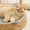 Gray, variant on Bpyeka Breathable Rattan Pet Bed Round Shaped Dog Mat For Pet Cozy Sleeping Cushion Deep Pet Supply For Relaxation Summer Essentials on Clearance