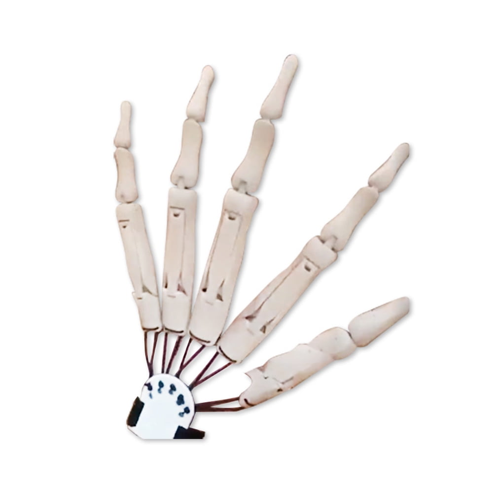 Pcapzz Halloween Articulated Fingers，Articulated Finger Extensions， 3D