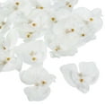 thumbnail image 1 of Cabezas de flores de orquídea Phalaenopsis de seda artificial Uxcell de 2.8" para decoración de bodas DIY, blanco puro, paquete de 20, 1 of 6