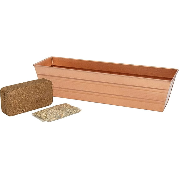 Bloom Box Garden Growing Kit Small Copper