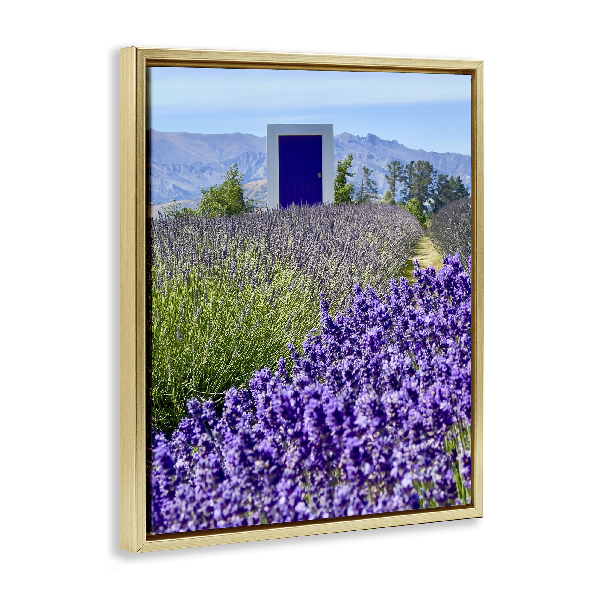 Stupell Industries Surreal Doorway Landscape Landscape Photography Gold Floater Framed Art Print Wall Art, 25 x 31