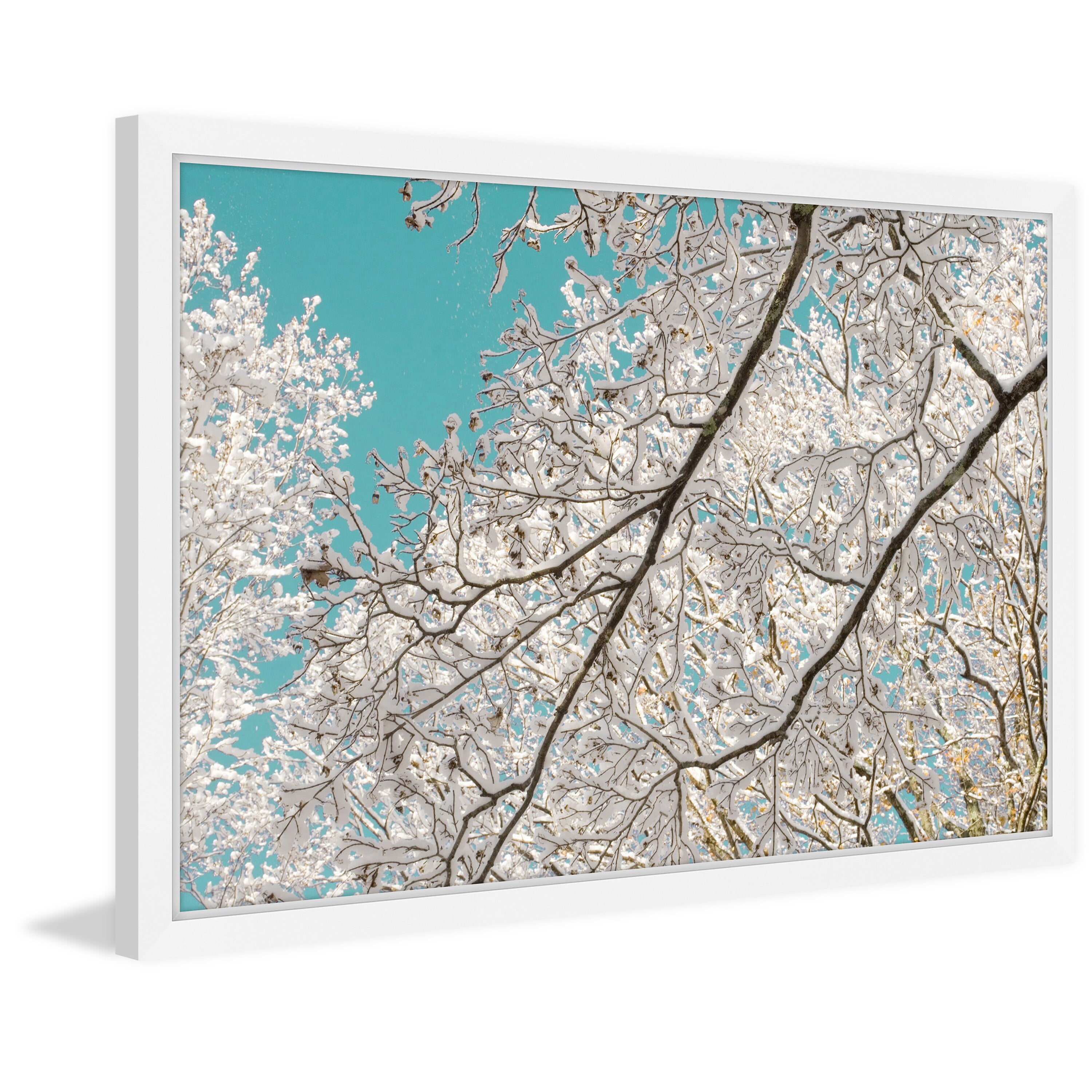 "Frosted Branches" Framed Painting Print