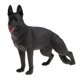 thumbnail image 3 of Figuras de acción de animales de simulación, juguete educativo para niños - Perro negro, 3 of 9