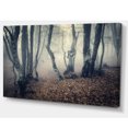 thumbnail image 2 of Brouillard Jaune Mystique dans la Forêt d'Automne, 2 of 3