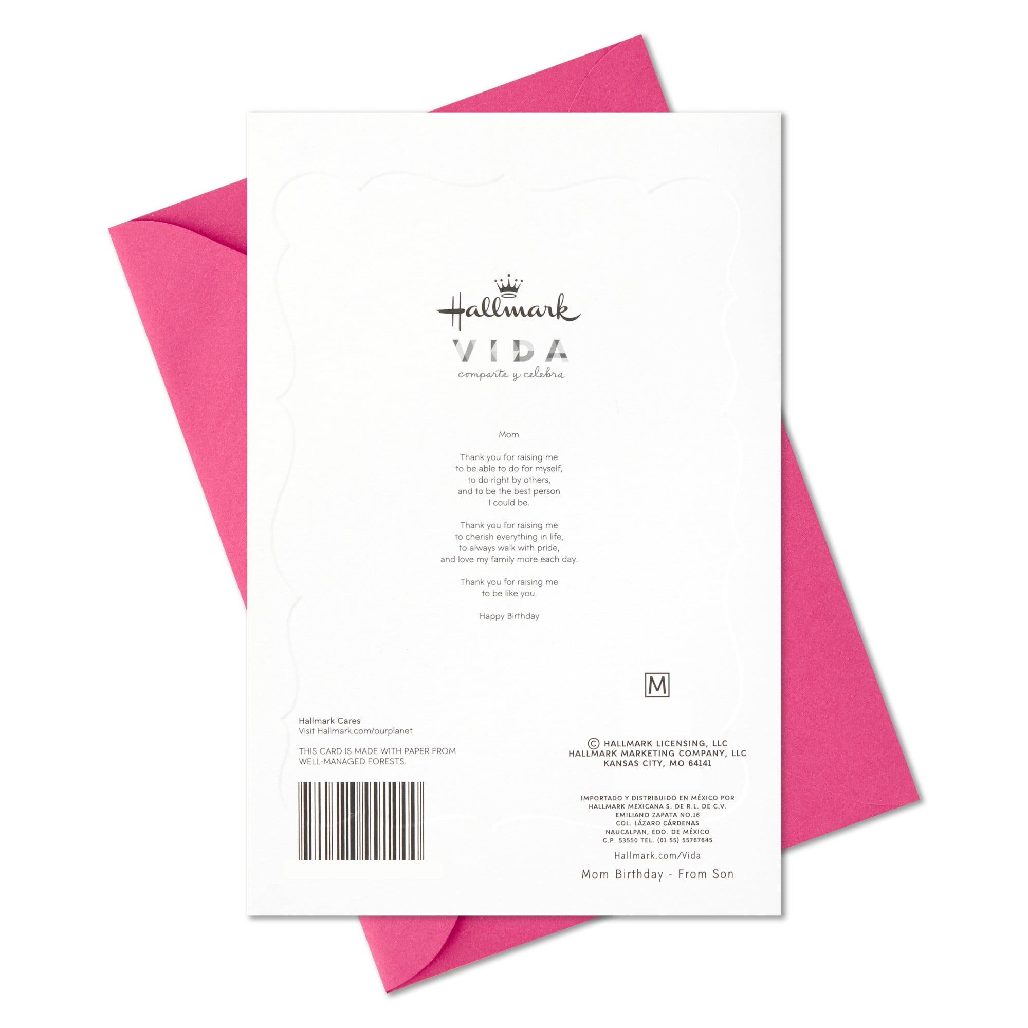 Hallmark VIDA Spanish-Language Birthday Card Mom (Thank You for Raising Me to Be Like you), 1 count