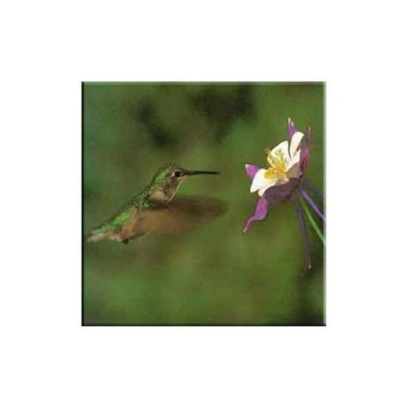 McGowan TT99826 Tuftop Hummingbird and Columbine Trivet
