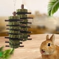 thumbnail image 5 of D-GROEE Bunny Rabbit Chew Toys- Natural Apple Branch Chewing Sticks with Grass Cake for Rabbits, Chinchillas, Guinea Pigs, Hamsters Teeth Chewing Playing Dental Health, 5 of 7