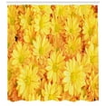 thumbnail image 3 of Ambesonne Yellow Flower Shower Curtain, Lively Dasies, 69"Wx75"L, Marigold Yellow, 3 of 3