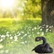 thumbnail image 2 of 3D Printed Animales Set 3D Printed Toys 3D Printed Articulated Flexible Toy 3D Printed Animals Exquisite Cute Pet Toy Adults Toys, 2 of 4