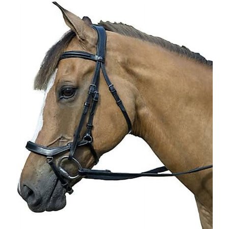 Pro Anatomical Bridle