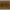 Green Pumpkin, variant on Berkley PowerBait® Power Worm Fishing Bait, Tequila Sunrise, 7in