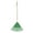Green, variant on Superio Kids Rake with Hardwood Handle, Gardening and Lawn Care Tools for Kids, Sweep Leaves and Tidying Up The Garden, Plastic Tines and Heavy Duty Wooden Handle 34"