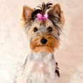 thumbnail image 4 of 30-Pack Puppy Yorkie Dog Hair Bows with Rubber Band Pet Grooming Products Mix Colors Butterfly Patterns Pet Hair Bows Dog Accessories, 4 of 8