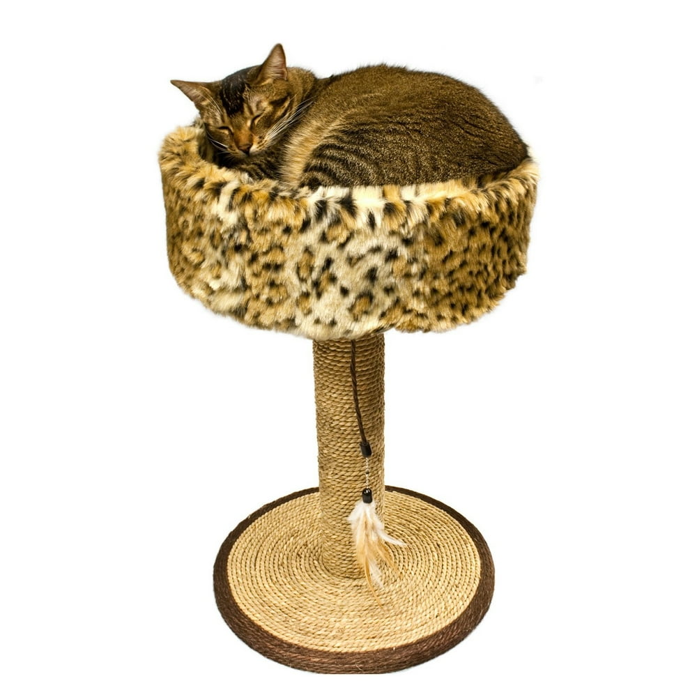 Ware Seagrass Wildcat Scratch N Sleep Scratching Post