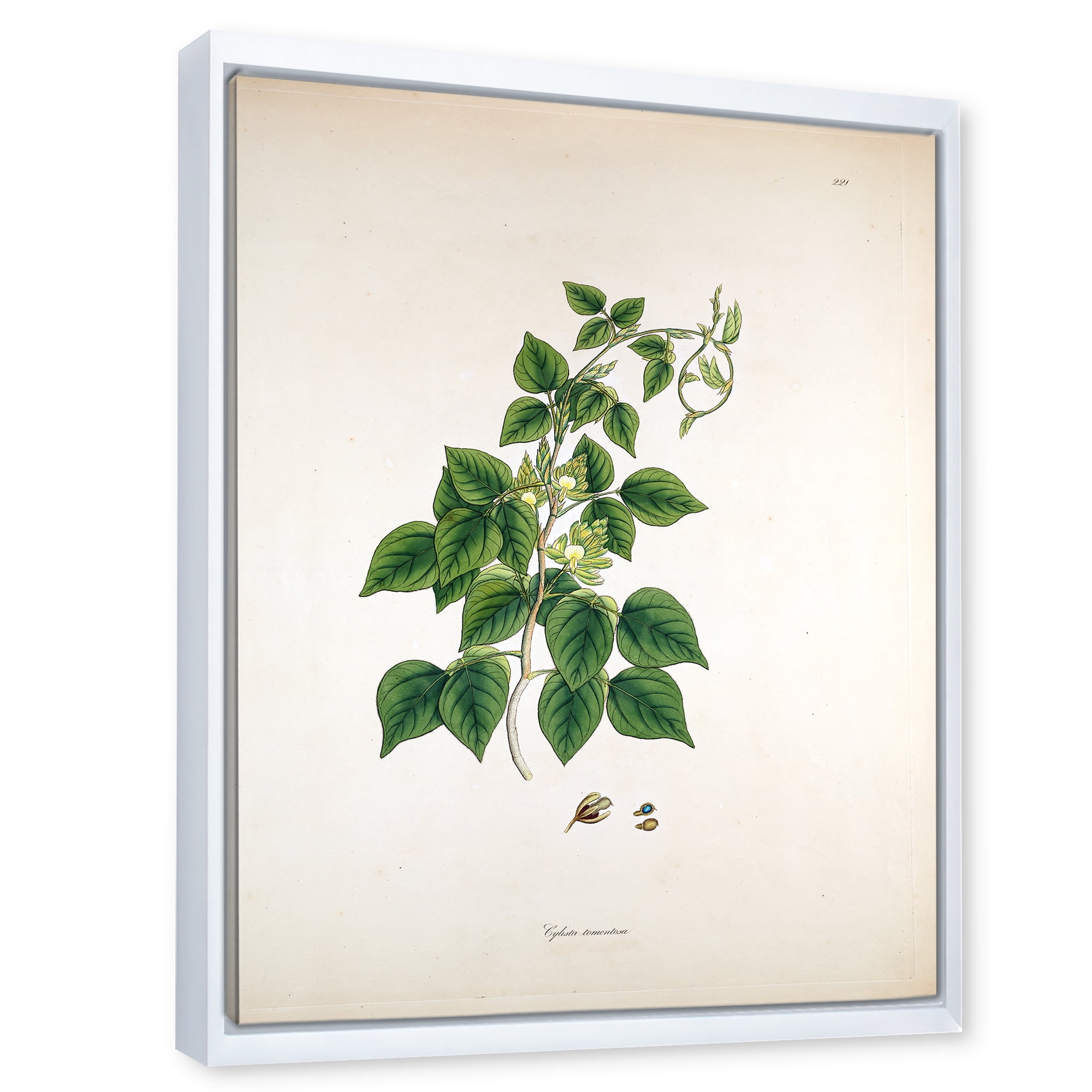 Ancient London Plants VIII 24 in x 32 in Framed Painting Canvas Art Print, by Designart