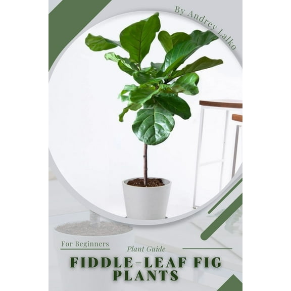 Fiddle-leaf Fig Plants: Plant Guide (Paperback) by Andrey Lalko
