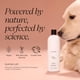 thumbnail image 5 of Champú para perros LolaVie Puppy Love 473 ml, paquete de 2 unidades, pH balanceado, 5 of 9