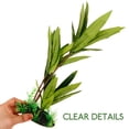 thumbnail image 3 of FUTUREORYY Green Artificial Aquarium Plant with Natural Look for Fish Tank and Home Decoration, 3 of 8