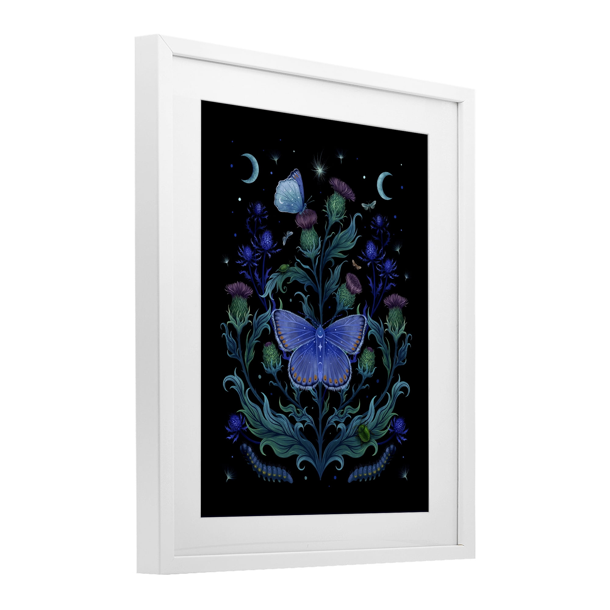 Stupell Industries Thistles & Insects at Night White Framed Print Under Glass, design by Episodic Drawings