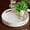 Round, variant on XIMEI Capiz Decorative Tray 15.8"x11.8"x1.8" Rectangular with Handles, Natural Handmade Serving Tray for Coffee Table/Ottoman/Vanity/Kitchen, Coastal Boho Decor, White