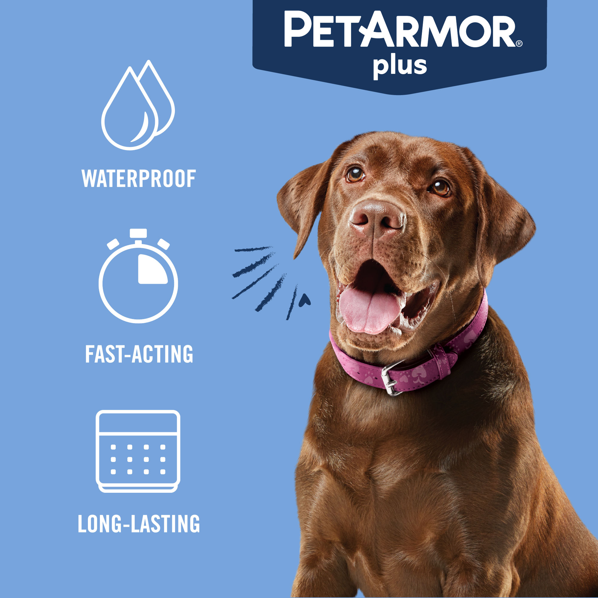 PETARMOR Plus for Large Dogs 45-88 lbs, Flea  Tick Prevention for Dogs, 6  Month Supply - Walmart.com