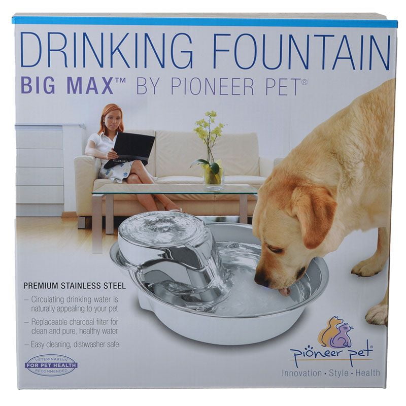 pioneer big max