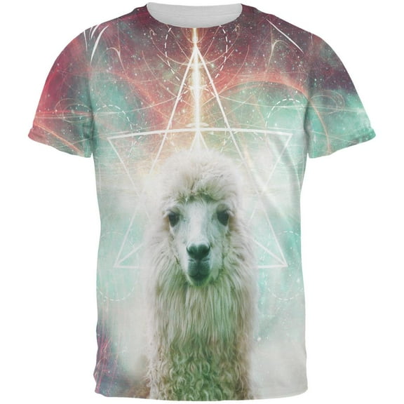 Galaxy Llama of Namaste Tetrahedron All Over Mens T Shirt Multi LG
