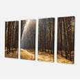 thumbnail image 2 of Light in the Forest Path Panorama - Forest Canvas Art Print, 2 of 3